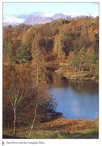 Tarn Hows and The Langdale Pikes postcards